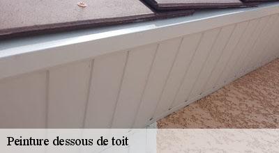 /photos/2150327-peinture-dessous-de-toit