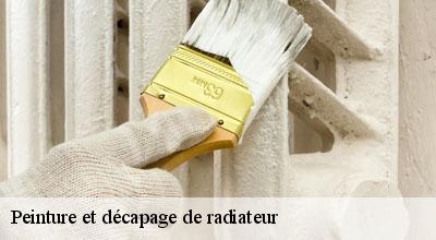 /photos/2150884-peinture-et-decapage-de-radiateur