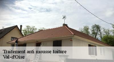 /photos/4506420-traitement-anti-mousse-toiture