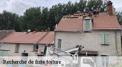 /photos/4506422-recherche-de-fuite-toiture