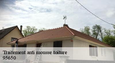 /photos/4508800-traitement-anti-mousse-toiture