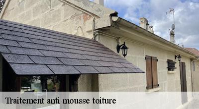 /photos/4508885-traitement-anti-mousse-toiture