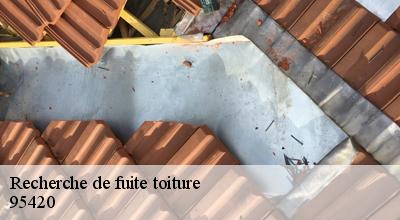 /photos/4509208-recherche-de-fuite-toiture